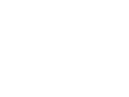 Party Town Marquees